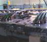 Automatic line for the production of softened cookies 2.000 kg