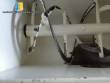 Silver carbon steel ribbon blender