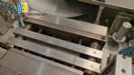 Sarong SAAS model blister forming and sealing machine for suppositories.