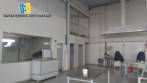 Candy line industry