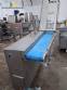 VEMAG 3-ton-per-hour automatic meat and nugget forming line