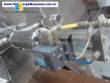 Packing machine for chickens Linco