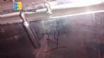 Paddle mixer 300 liters in stainless steel with spray Imarvil