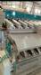 Semi-automatic stainless steel packaging machine on Joagro trays