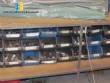 Dough Sheeter/Mold/Extruder