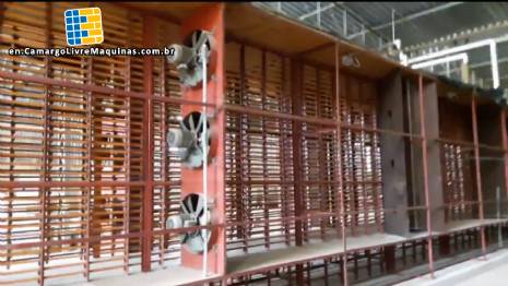 Line for noodles brasninho Braibanti