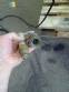 Chocolate batcher with 10 NKS nozzles