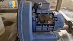 Incalfer double stage continuous stainless steel vegetable washer