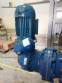 Automatic line for noodles 300kg/h Dominioni