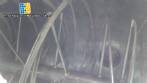 Ribbon mixer Blender stainless steel 8,000 liters