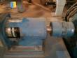 Worm pump Netzsch