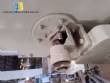 200 liter stainless steel jacketed paddle mixer