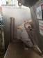 Industrial extruders for meat Weiler