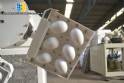 Centrifuge for easter eggs