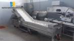 Stainless steel fish/seafood glazing machine Brusinox 1500 kg/h