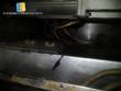 Salted machine Rheon