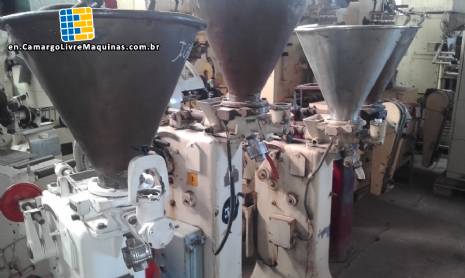 Stony industrial mixer for peanut butter cups with motor and reducer -  Camargo Industrial - Used Machines