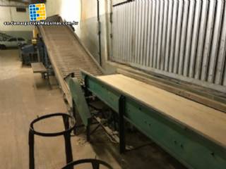 Onion cleaner and sorter Barana