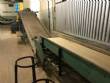 Onion cleaner and sorter Barana