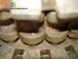Lose to bullet-Super Rosotoplstica