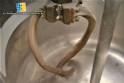 Brasforno Hook Kneader 50 liters
