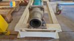Nemo Netzsch 1 HP helical positive pump