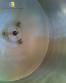 Stainless steel tank Plurinox