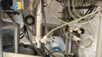 Automatic rotary dosing and sealing filling machine for cups, jars, and bottles, Milainox MB-1