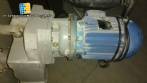 Vertical powder packer with volumetric system Niva Pack