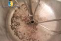 Stainless steel jacketed pan