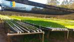 Complete hydroponics company