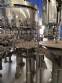 Zegla rotary filling machine with rinser and three-block capping system.