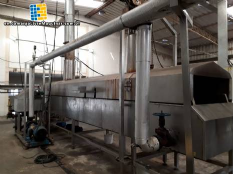 Continuous line for potato chips and straw MCI