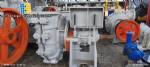 Weir Warman 300 FL Centrifugal Pump for Heavy-Duty Abrasive Slurries