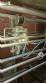 Vertical powder wrapping machine Serpack
