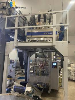 Masipack 16 scales multi-head vertical packaging machine Masipack 16 scales multi-head vertical packaging machine