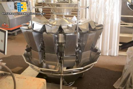 Multi-head scale Multi-head scale